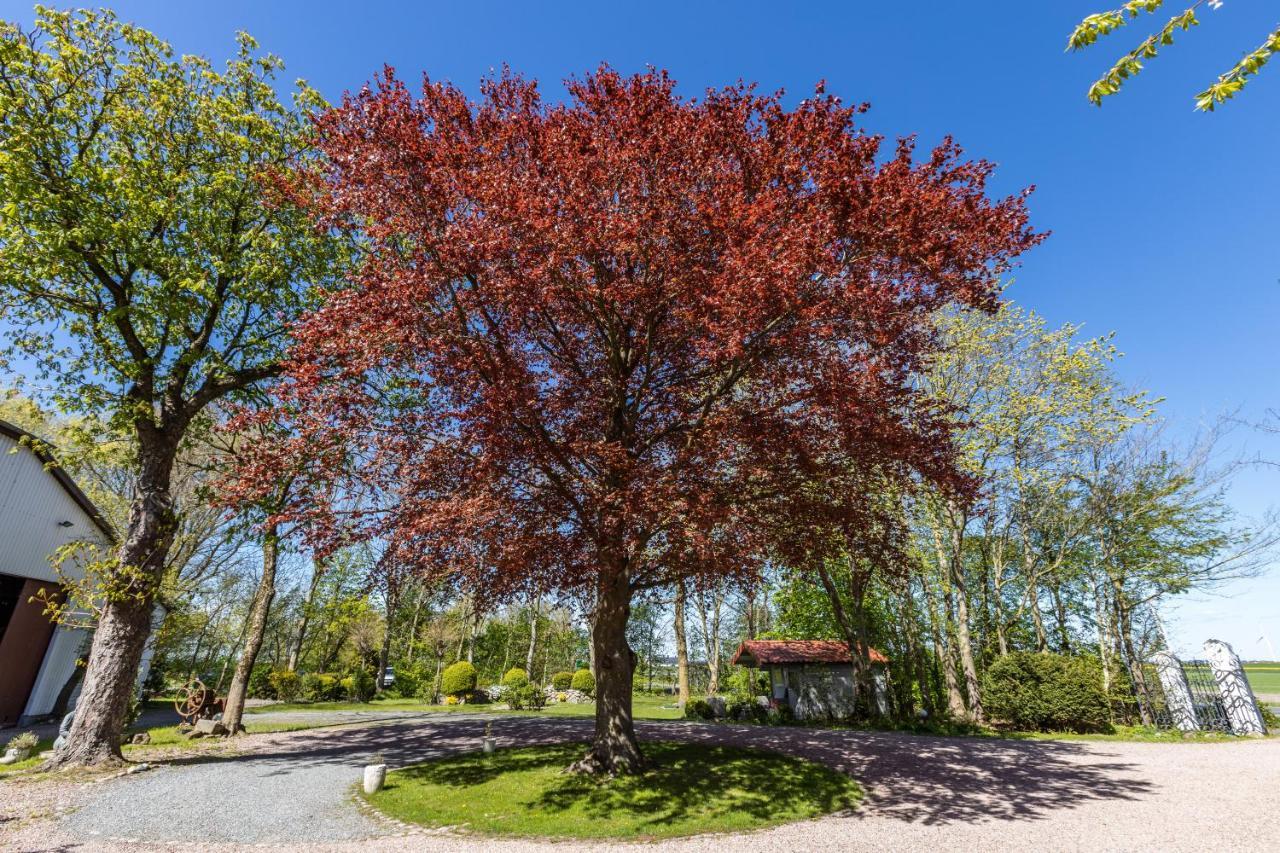 Denkerhof Ferienwohnung Sodalith Reussenkoge Екстер'єр фото